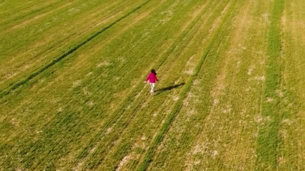 Chica de cámara lenta corriendo en el campo verde . — Vídeos de Stock