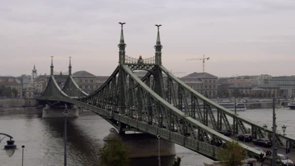 Budapeşte 'deki Özgürlük Köprüsü — Stok video