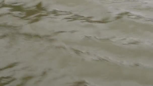 Danubio a Budapest acqua in movimento — Video Stock