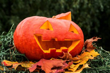 Cadılar Bayramı Balkabağı üzerinde Sonbahar Kuru yaprakları. Yakın çekim