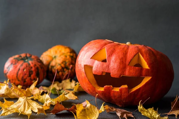 gri bir arka plan üzerinde korkunç Cadılar Bayramı Balkabağı