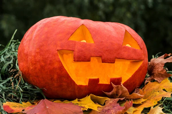 Cadılar Bayramı Balkabağı üzerinde Sonbahar Kuru yaprakları. Yakın çekim