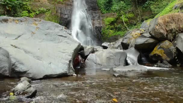 Ποτάμι βουνό στο προσκήνιο και ένας καταρράκτης στο πίσω μέρος — Αρχείο Βίντεο