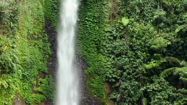 Schöner Wasserfall im Regenwald — Stockvideo