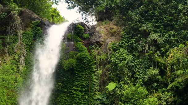 열 대 우림의 아름 다운 폭포 — 비디오