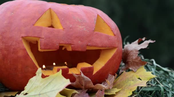 Calabaza de Halloween en las hojas secas de otoño. Primer plano — Vídeos de Stock