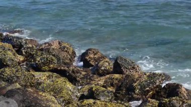 Dev bir dalga kayalara çarptı. Dalgalar kayaların üzerinde sıçrama şekli oluşturan bir tropikal plaj isabet. Kayalık bir plajda güçlü dalgalar.