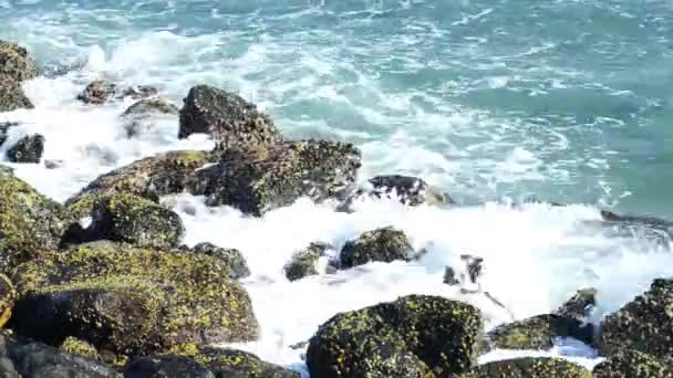 A huge wave hits the rocks. Waves hitting rocks on a tropical beach forming a splash shape. Powerful Waves on a rocky beach. — Stock Video