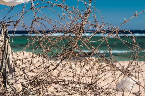 Eski deniz infront tel dikenli. Tel ve mavi gökyüzü bulutlu. Güvenlik çit dikenli tel mavi gökyüzü ve denizin karşı. Yakın çekim.