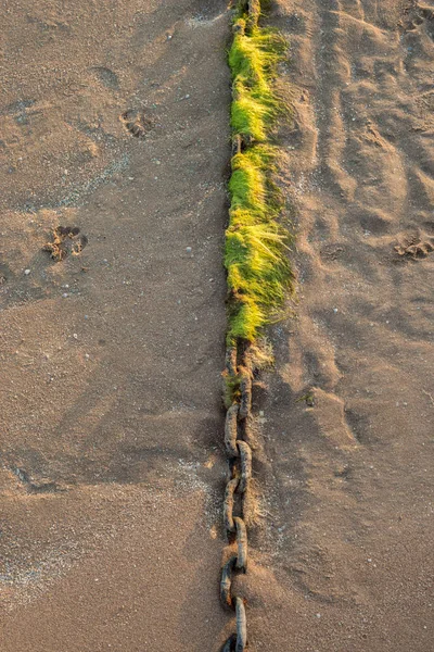 La vieille chaîne repose sur le sable. la vieille chaîne repose sur le sable. Chaîne dans l'herbe marine — Photo