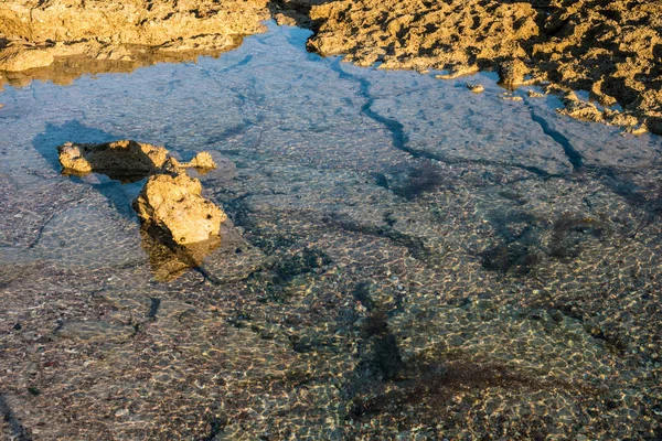 Pfützen an der Oberfläche des Riffs bei Ebbe am Abend — Stockfoto