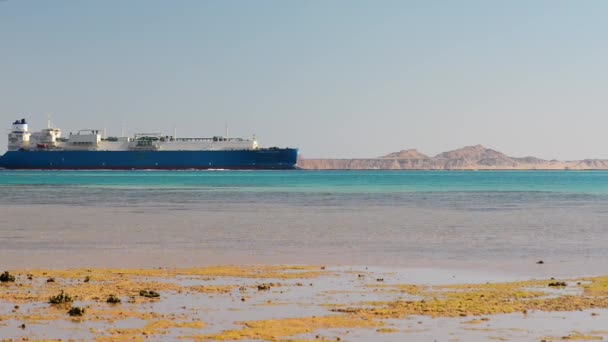 Blue cargo ship sailing in Red Sea — Stock Video
