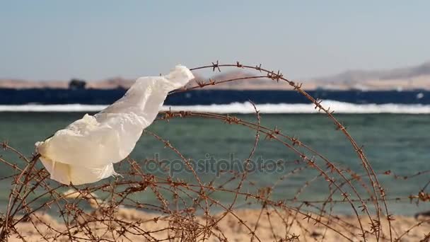 Oude barbed wire infront van zee — Stockvideo