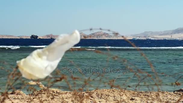 Sârmă ghimpată veche în fața mării — Videoclip de stoc