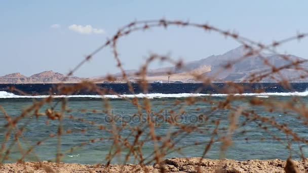 Gammal taggtråd framför havet — Stockvideo