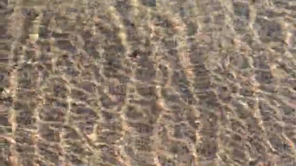 Close-up of a sea spit — Stock Video