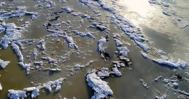 Πάγος έρχεται στην όχθη του ποταμού. — Αρχείο Βίντεο