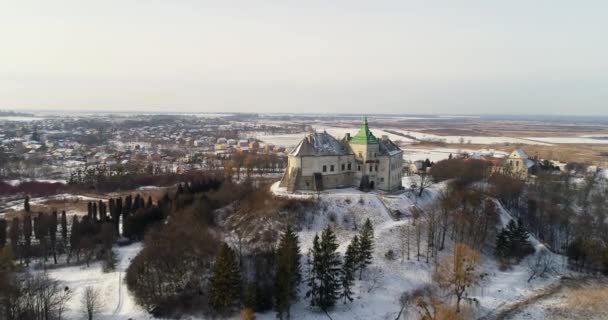 Aerial view of the Olesky Castle and residential neighborhoods near it — Stock Video