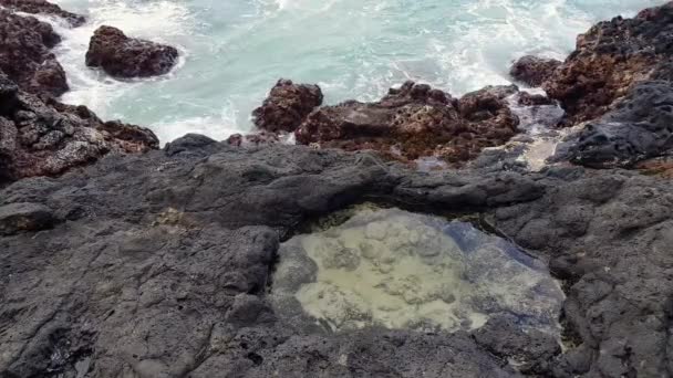 Énorme vague frappe les roches volcaniques . — Video