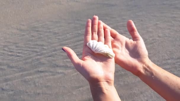 Girl holds a seashell. Close-up — Stock Video