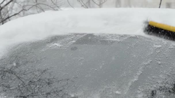 Ta bort snö från en bilfönstret med en borste. Borsta på vindrutan från snö. — Stockvideo