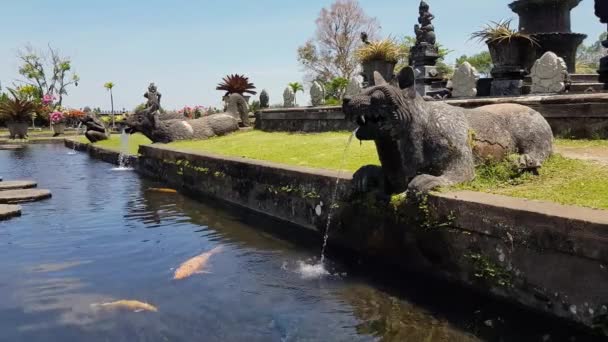 Tirta Gangga - o palácio aquático de Bali . — Vídeo de Stock