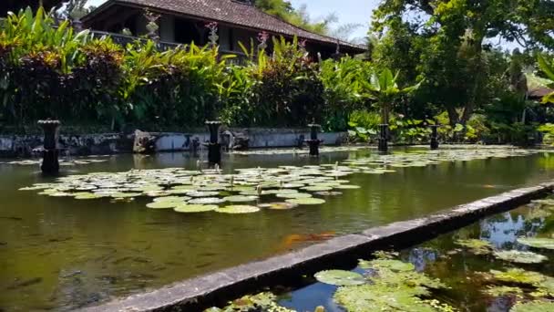 Tirta Gangga - το παλάτι του νερού στο Μπαλί. — Αρχείο Βίντεο