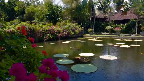 Tirta Gangga - el palacio del agua en Bali . — Vídeo de stock