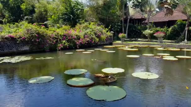 Tirta gangga - der Wasserpalast in bali. — Stockvideo