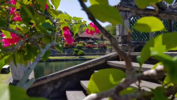 Elle espionne derrière un arbre. Vue à la première personne. Tirta Gangga . — Video