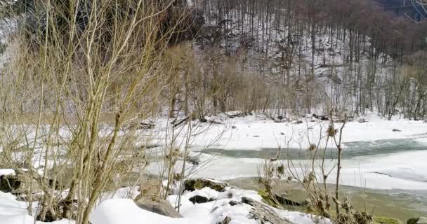 A jég elolvad - a folyó folyik. Kilátás egy hegyi folyóra a Kárpátokban télen. — Stock videók