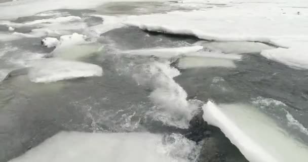 Lód topnieje - rzeka płynie. Widok na górską rzekę w Karpatach zimą. — Wideo stockowe