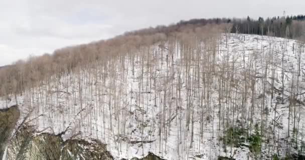 Vista aérea das montanhas dos Cárpatos no inverno, Yaremche, Ucrânia . — Vídeo de Stock