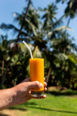 Bir adam elinde tropik bir bahçenin arka planında taze sıkılmış mango suyu tutuyor..