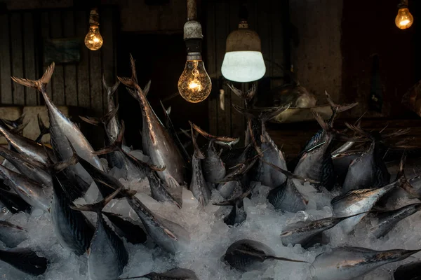 Mercado de peixe de rua. Capturas frescas de peixes no gelo . — Fotografia de Stock