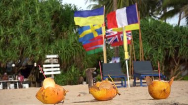 Sahilde altın hindistan cevizleri farklı ülkelerin bayraklarının arka planında