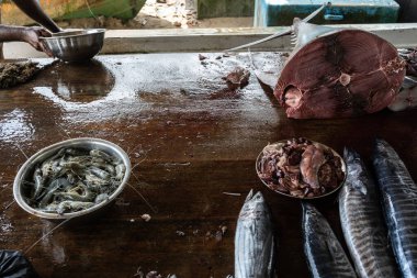 Balık ve deniz ürünleri temizleme masası.