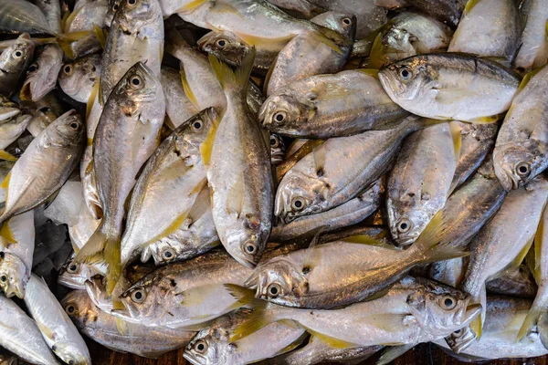 Peixe fresco no mercado de peixe. Close-up. Conceito de alimentação saudável. Top viev . — Fotografia de Stock