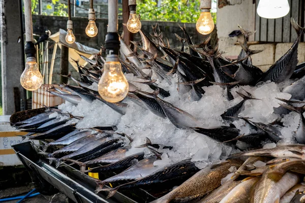 Mercado de peixe de rua. Capturas frescas de peixes no gelo . — Fotografia de Stock