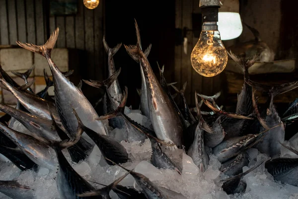 Mercado de peixe de rua. Capturas frescas de peixes no gelo . — Fotografia de Stock
