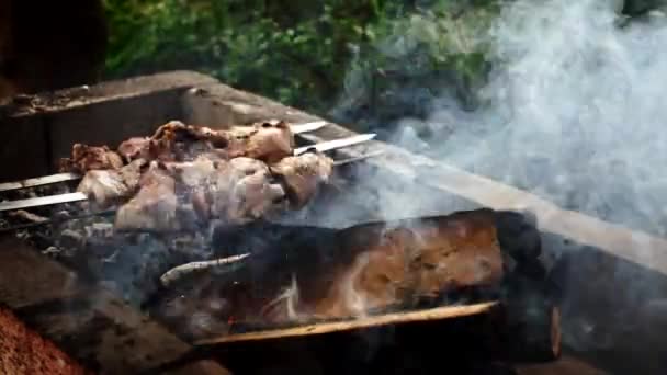 Cocinar shashlik en el mangal en la naturaleza — Vídeo de stock