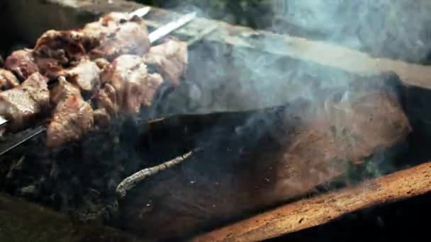 Shashlik em churrasqueira sobre carvão vegetal. Shashlik ou Shish kebab é um prato popular na Europa Oriental e no Oriente Médio. Carne assada Kebabs na churrasqueira Grill . — Vídeo de Stock