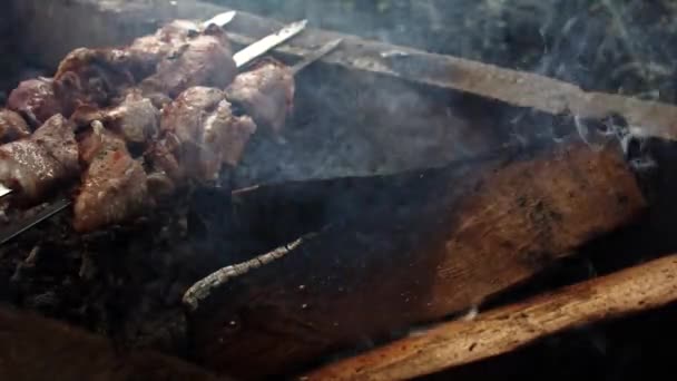 Deliciosas brochetas en la parrilla del jardín. La carne fue perforada en una saliva y asada con carbón. Parrilla barbacoa parrilla . — Vídeo de stock