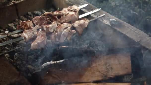 Smaczne szaszłyki na grillu ogrodowym. Mięso zostało przekłute na rożnie i grillowane węglem drzewnym. Grill grill — Wideo stockowe