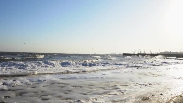 Pohled na přístav v zimě. Bouře na moři v zimě. Racci létají proti větru podél pobřeží v zimě. — Stock video