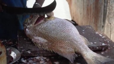 Adam ahşap bir masada balık temizliyor. Bir adam büyük bir bıçakla balığın yüzgeçlerini kesiyor.