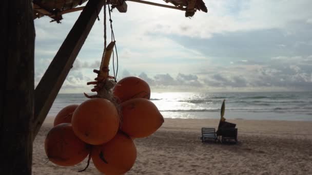 Cocos dourados no fundo da praia e no Oceano Índico ao pôr-do-sol. Relaxar conceito . — Vídeo de Stock