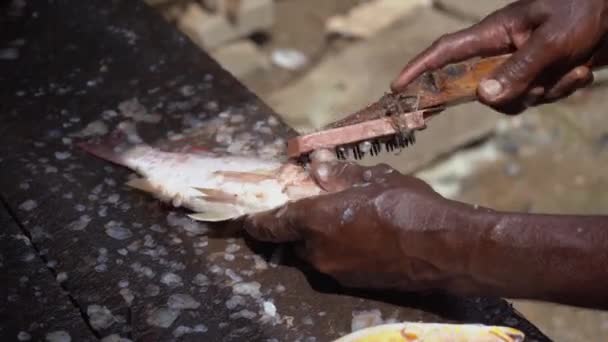 Homem limpa peixe em uma mesa de madeira — Vídeo de Stock