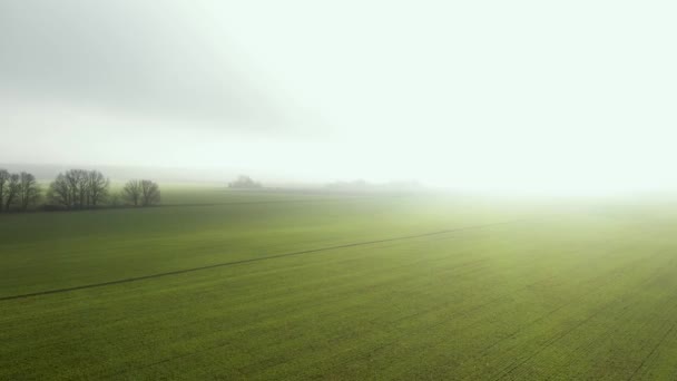 Вид с воздуха на поле с озимой пшеницей в зимний сезон во время тумана. Солнце светит в тумане. . — стоковое видео