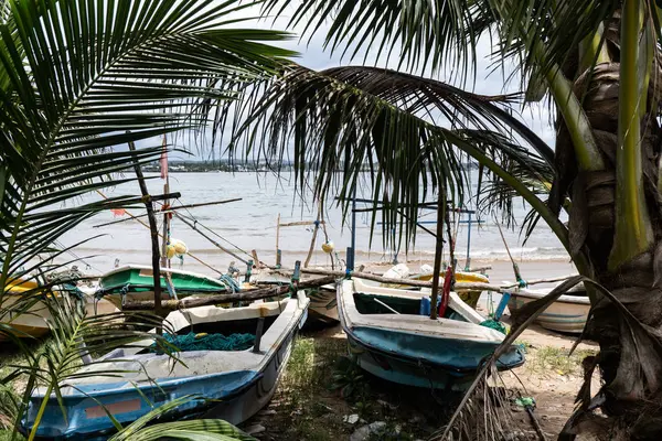 Fishing boats on the beach near palm trees — Stock Photo, Image